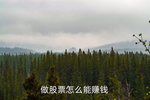 做股票怎么能赚钱