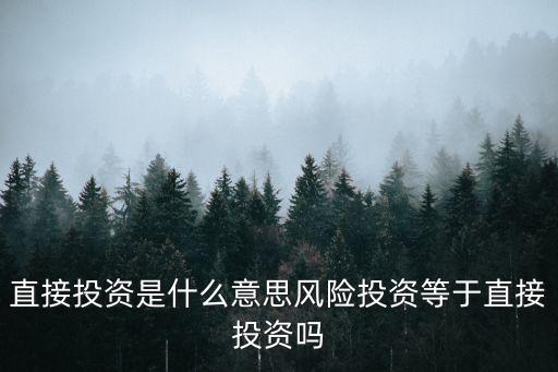 直接投资是什么意思风险投资等于直接投资吗