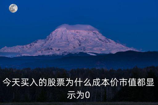 今天买入的股票为什么成本价市值都显示为0