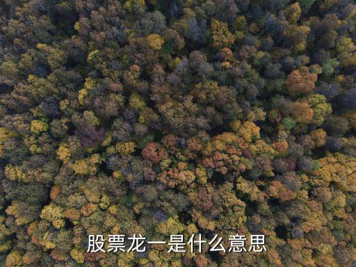 股票龙一是什么意思