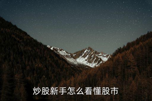 炒股新手怎么看懂股市