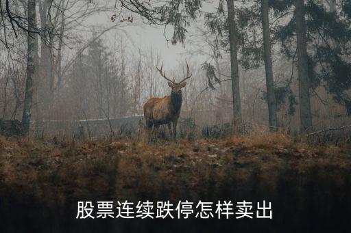 股票连续跌停怎样卖出