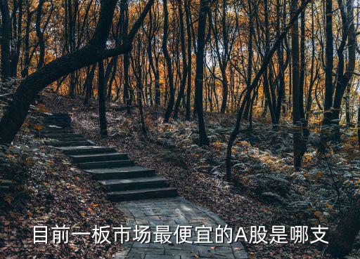 目前一板市场最便宜的A股是哪支