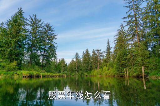 股票年线怎么看