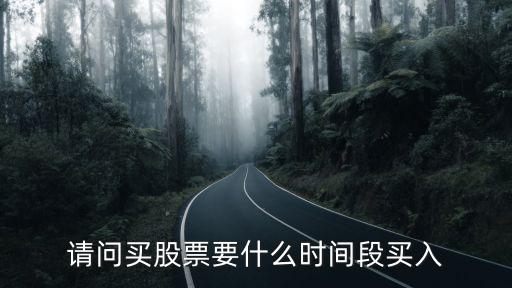 请问买股票要什么时间段买入