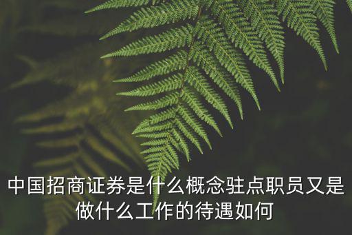 中国招商证券是什么概念驻点职员又是做什么工作的待遇如何