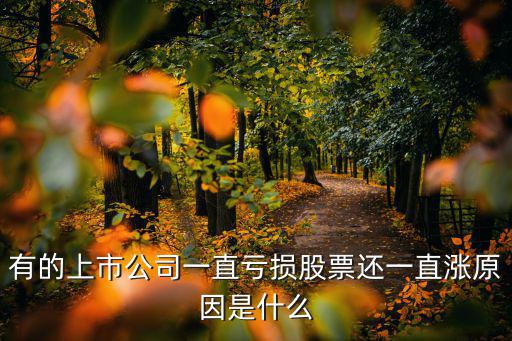 有的上市公司一直亏损股票还一直涨原因是什么