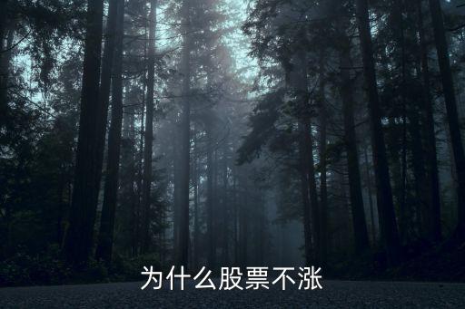 飞龙股份股票为什么不涨，为什么股票不涨