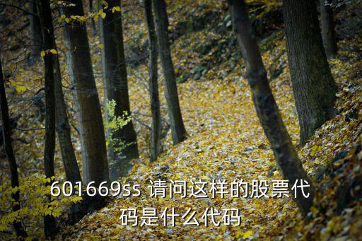 601669ss 请问这样的股票代码是什么代码