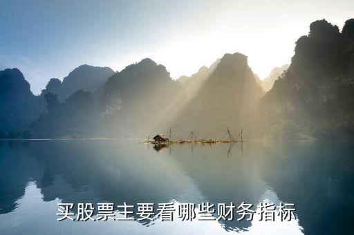 买股票主要看哪些财务指标