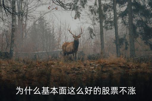 为什么基本面这么好的股票不涨