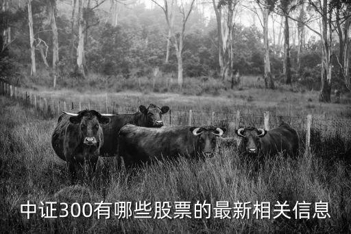 中证300有哪些股票的最新相关信息