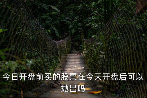 今日开盘前买的股票在今天开盘后可以抛出吗