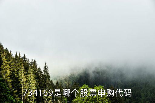 734169是哪个股票申购代码