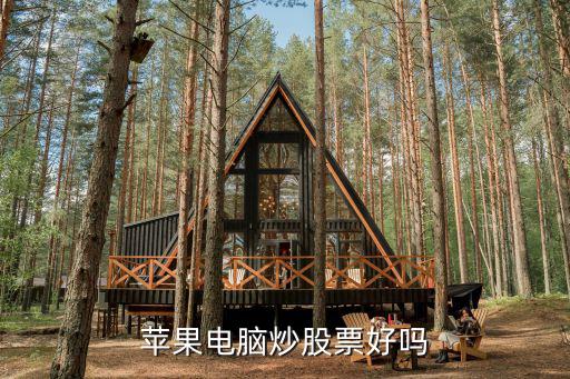 苹果电脑炒股票好吗