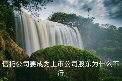 信托为什么不让上市股票，大股东把股票质押给信托公司信托公司能不能用