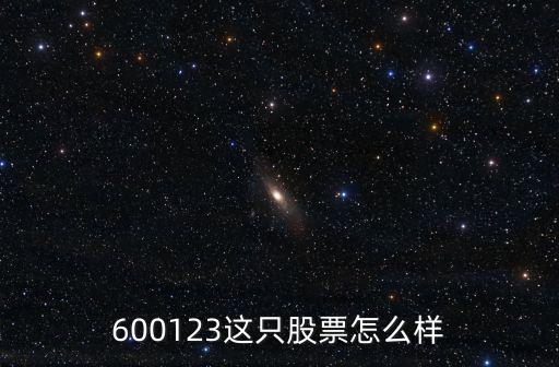600123这只股票怎么样