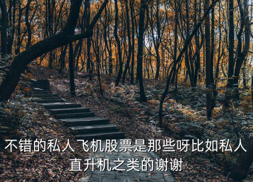 飞机失事应该买什么股票，不错的私人飞机股票是那些呀比如私人直升机之类的谢谢