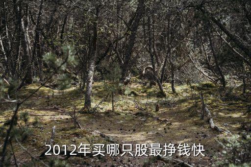 2012年买哪只股最挣钱快