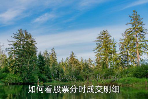 如何看股票分时成交明细