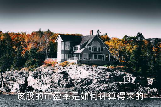 该股的市盈率是如何计算得来的