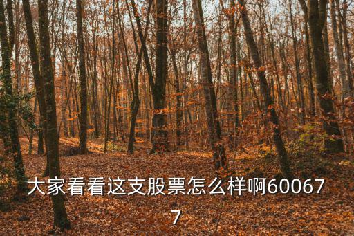 大家看看这支股票怎么样啊600677