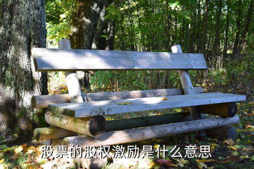 股票的股权激励是什么意思