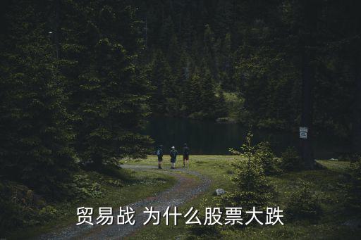 战争使股票大跌说明什么，战争对股市影响大不