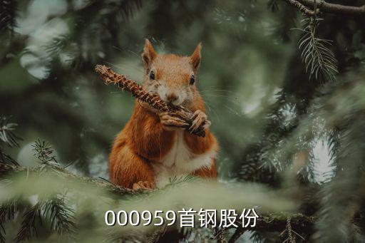 首钢股份现在叫什么股票，000959首钢股份