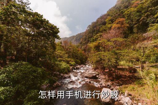 怎样用手机进行炒股