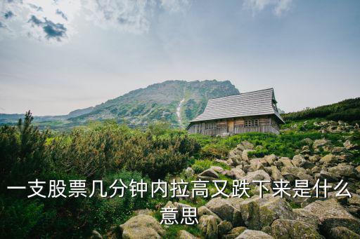 拉高股票是什么意思，公司拉高股价股东减持什么意思
