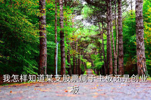 我怎样知道某支股票属于主板还是创业板