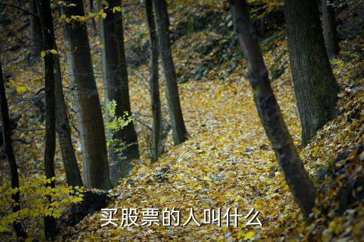 买股票的人叫什么