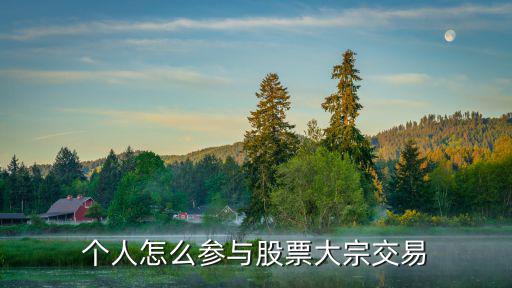 个人怎么参与股票大宗交易