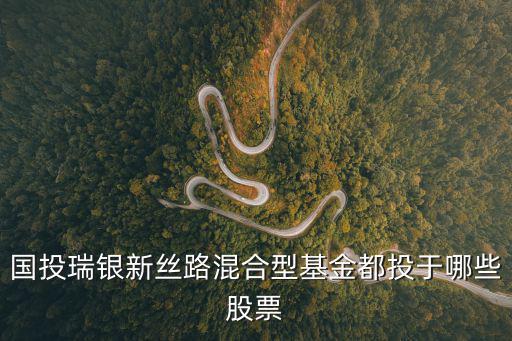 国投瑞银新丝路混合型基金都投于哪些股票