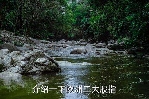 介绍一下欧洲三大股指