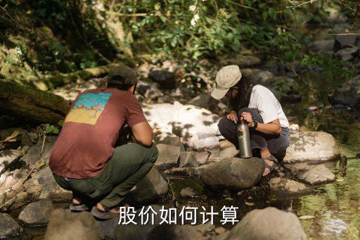 股票的 怎么算，股价如何计算