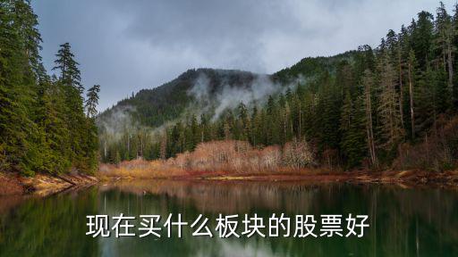 现在买什么板块的股票好