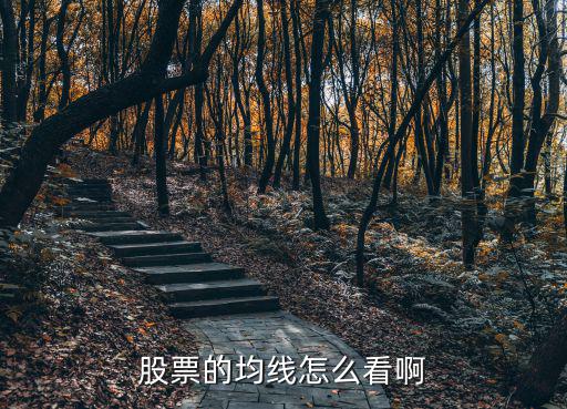 股票的均线怎么看啊