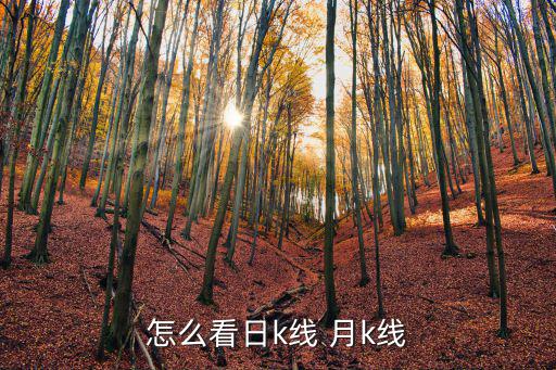 怎么看日k线 月k线