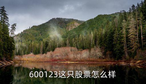 600123这只股票怎么样