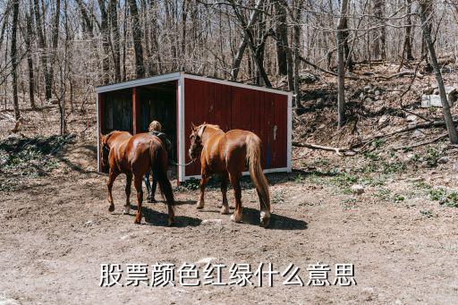 股票中红什么意思，股票的红色数字和绿色数字表示什么意思