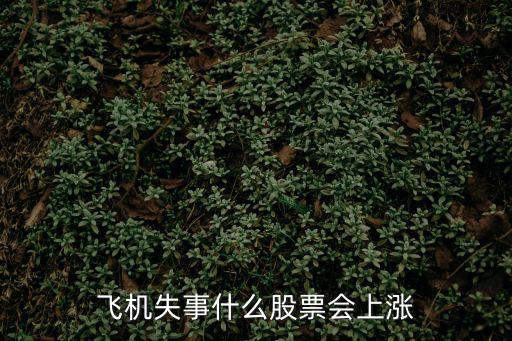 飞机失事什么股票会上涨