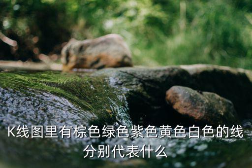 股票棕色是什么意思，关于股票如图黄色蓝色粉色棕色分别代表什么线