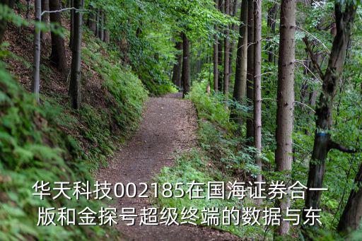 华天科技002185在国海证券合一版和金探号超级终端的数据与东