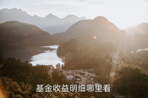 基金收益明细哪里看