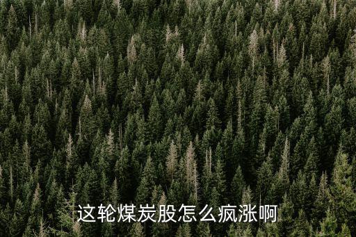 煤炭股票涨完涨什么，这轮煤炭股怎么疯涨啊