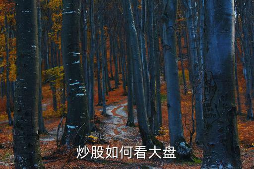 炒股如何看大盘