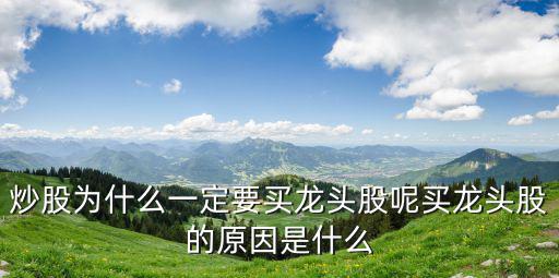 炒股为什么一定要买龙头股呢买龙头股的原因是什么