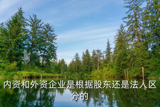 什么股票看内资和外资，外资持股概念股有哪些
